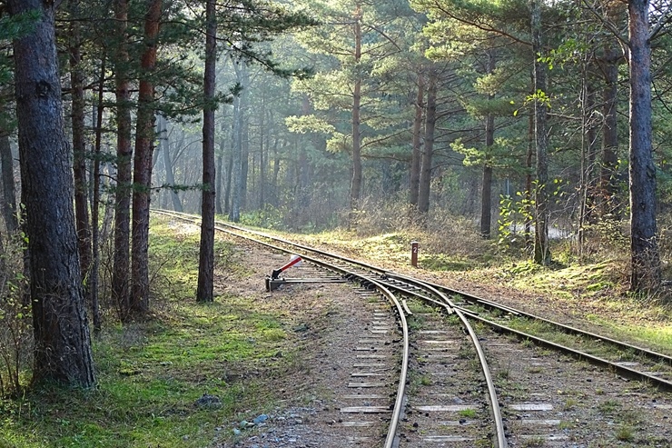 Izstaigā Ventspils  dabas takas pirms uzsnidzis sniegs. Foto: O. Jūra 294911