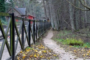 Izstaigā Ventspils  dabas takas pirms uzsnidzis sniegs. Foto: O. Jūra 1