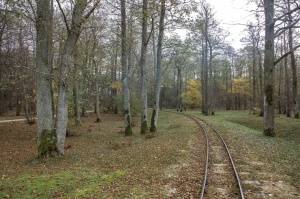 Izstaigā Ventspils  dabas takas pirms uzsnidzis sniegs. Foto: O. Jūra 6