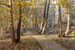 Izstaigā Ventspils  dabas takas pirms uzsnidzis sniegs. Foto: O. Jūra 11