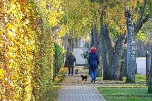 Izstaigā Ventspils  dabas takas pirms uzsnidzis sniegs. Foto: O. Jūra 15