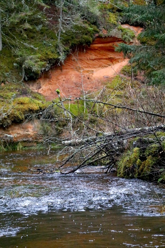 Travelnews.lv dodas 25 km pārgājienā gar Strīķupi Gaujas nacionālajā parkā 295005