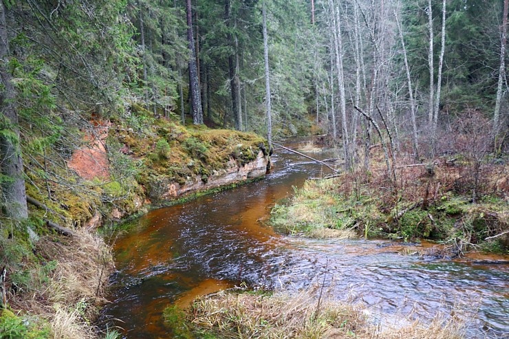 Travelnews.lv dodas 25 km pārgājienā gar Strīķupi Gaujas nacionālajā parkā 295006