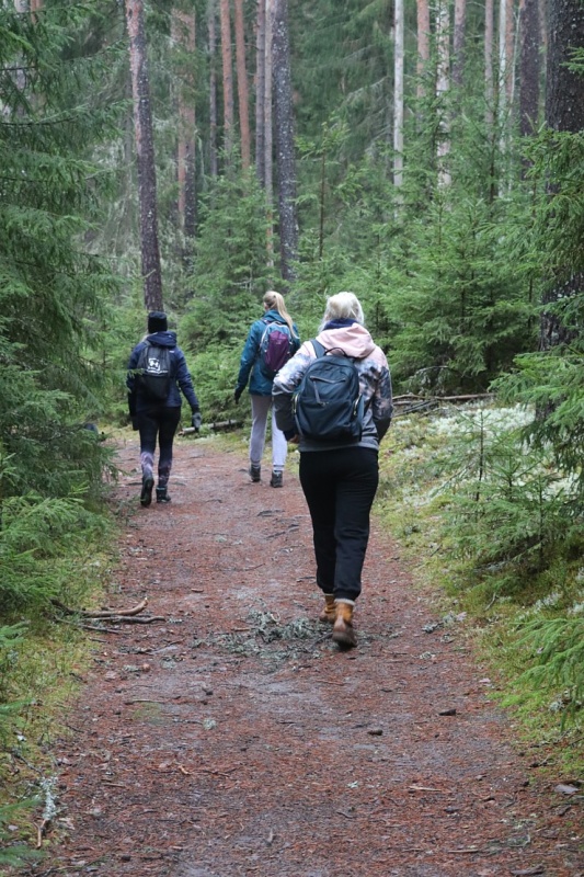 Travelnews.lv dodas 25 km pārgājienā gar Strīķupi Gaujas nacionālajā parkā 295017