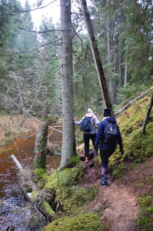 Travelnews.lv dodas 25 km pārgājienā gar Strīķupi Gaujas nacionālajā parkā 295018