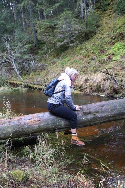 Travelnews.lv dodas 25 km pārgājienā gar Strīķupi Gaujas nacionālajā parkā 295022