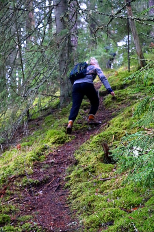 Travelnews.lv dodas 25 km pārgājienā gar Strīķupi Gaujas nacionālajā parkā 295023