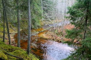 Travelnews.lv dodas 25 km pārgājienā gar Strīķupi Gaujas nacionālajā parkā 11