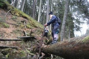 Travelnews.lv dodas 25 km pārgājienā gar Strīķupi Gaujas nacionālajā parkā 28