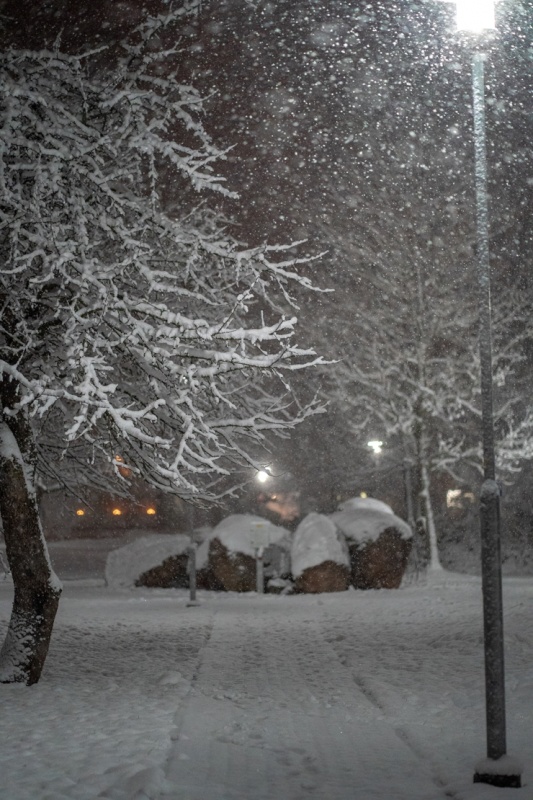 Gluži kā pasakā - Balvi ziemas rotā. Foto: Balvu novada pašvaldība 295114