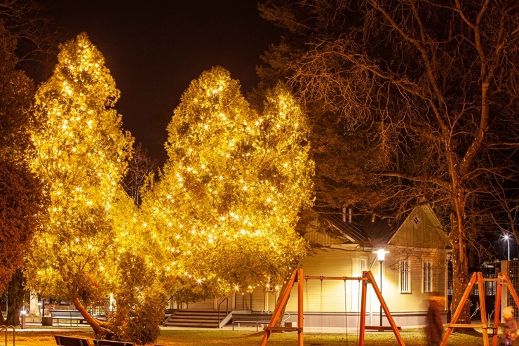 Kūrortpilsēta Jūrmala skaista arī ziemā 295596