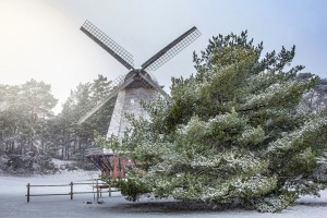 Piejūras brīvdabas muzejs, Užavas pagasta Piņķu vējdzirnavas 1