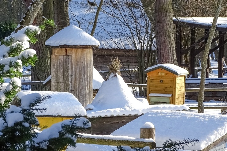 Ventspils Piejūras brīvdabas muzejā aizvadīta Meteņu diena. Foto: Oskars Jūra 297541