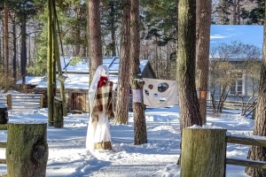 Ventspils Piejūras brīvdabas muzejā aizvadīta Meteņu diena. Foto: Oskars Jūra 19