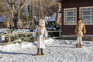 Ventspils Piejūras brīvdabas muzejā aizvadīta Meteņu diena. Foto: Oskars Jūra 20