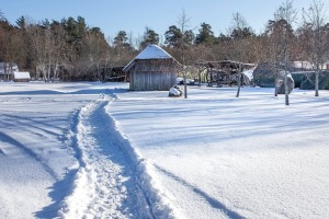 Ventspils Piejūras brīvdabas muzejā aizvadīta Meteņu diena. Foto: Oskars Jūra 29