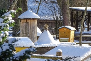 Ventspils Piejūras brīvdabas muzejā aizvadīta Meteņu diena. Foto: Oskars Jūra 34