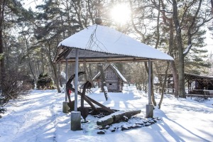 Ventspils Piejūras brīvdabas muzejā aizvadīta Meteņu diena. Foto: Oskars Jūra 38