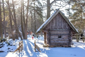 Ventspils Piejūras brīvdabas muzejā aizvadīta Meteņu diena. Foto: Oskars Jūra 39