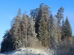 30