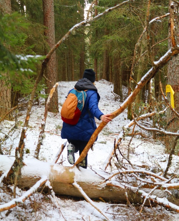 Travelnews.lv dodas 31 km pārgājienā uz Draudzības kurgānu, kur satiekas Krievija, Latvija un Baltkrievijaa Travelnews.lv dodas 31 km pārgājienā uz Draudzības kurgānu, kur satiekas Krievija, Latvija un Baltkrievijaa 298582
