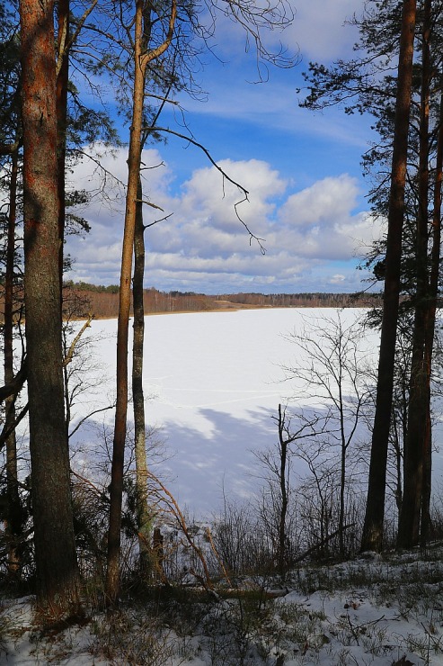 Travelnews.lv dodas 31 km pārgājienā uz Draudzības kurgānu, kur satiekas Krievija, Latvija un Baltkrievijaa Travelnews.lv dodas 31 km pārgājienā uz Draudzības kurgānu, kur satiekas Krievija, Latvija un Baltkrievijaa 298577