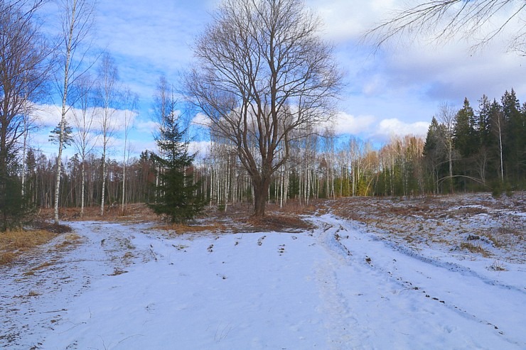 Travelnews.lv dodas 31 km pārgājienā Zilupes un Dagdas novadā gar Krievijas un Baltkrievijas robežu Travelnews.lv dodas 31 km pārgājienā Zilupes un Dagdas novadā gar Krievijas un Baltkrievijas robežu 298631