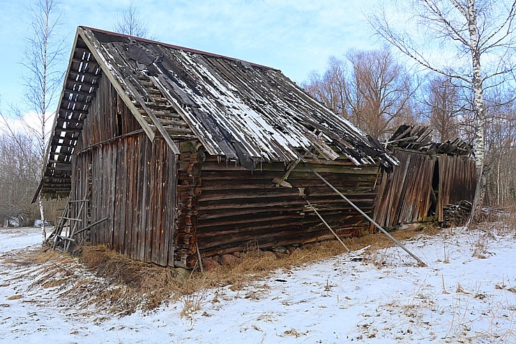 Travelnews.lv dodas 31 km pārgājienā Zilupes un Dagdas novadā gar Krievijas un Baltkrievijas robežu Travelnews.lv dodas 31 km pārgājienā Zilupes un Dagdas novadā gar Krievijas un Baltkrievijas robežu 298633