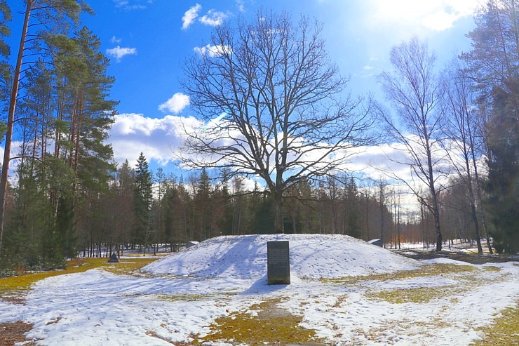 Travelnews.lv dodas 31 km pārgājienā Zilupes un Dagdas novadā gar Krievijas un Baltkrievijas robežu Travelnews.lv dodas 31 km pārgājienā Zilupes un Dagdas novadā gar Krievijas un Baltkrievijas robežu 298640
