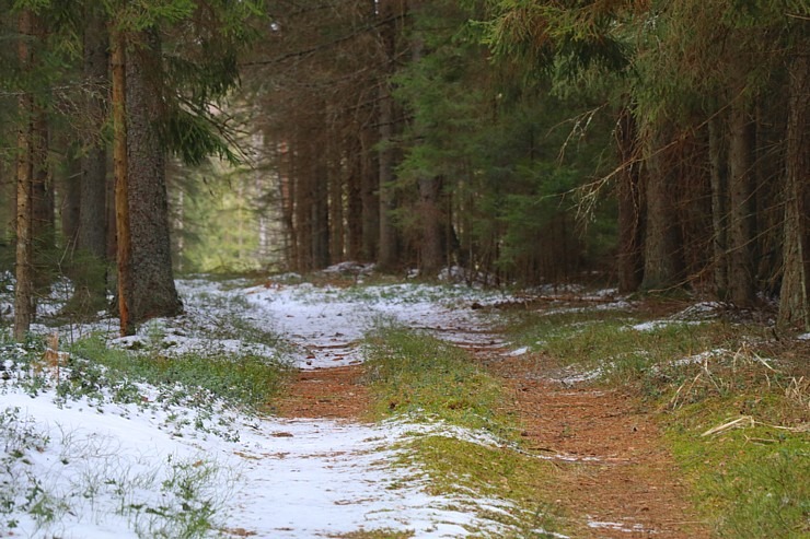 Travelnews.lv dodas 31 km pārgājienā Zilupes un Dagdas novadā gar Krievijas un Baltkrievijas robežu Travelnews.lv dodas 31 km pārgājienā Zilupes un Dagdas novadā gar Krievijas un Baltkrievijas robežu 298653