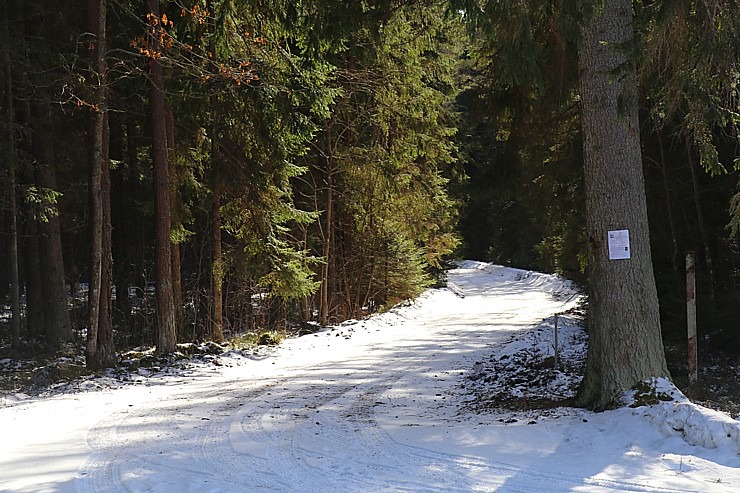 Travelnews.lv dodas 31 km pārgājienā Zilupes un Dagdas novadā gar Krievijas un Baltkrievijas robežu Travelnews.lv dodas 31 km pārgājienā Zilupes un Dagdas novadā gar Krievijas un Baltkrievijas robežu 298665