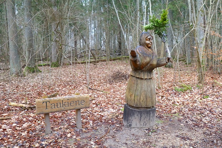 Travelnews.lv dodas 27 km pārgājienā Skrīveru novadā - 800 m garā Sūnu taka 299582