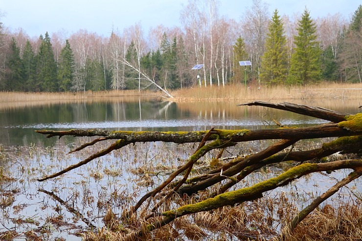 Travelnews.lv dodas 27 km pārgājienā Skrīveru novadā - Laimes Lāča taka apkārt Kalnamuižas ezeram Travelnews.lv dodas 27 km pārgājienā Skrīveru novadā - Laimes Lāča taka apkārt Kalnamuižas ezeram 299662