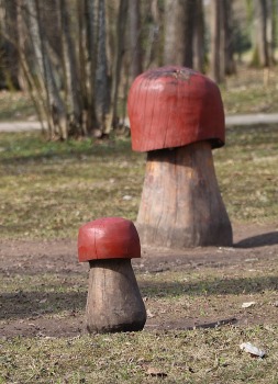 28