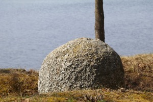 31