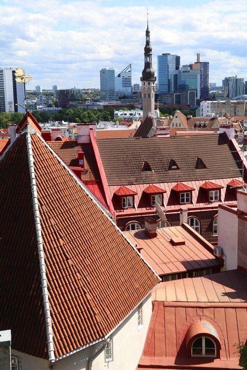 Tallinas reljefs piedāvā tūristiem burvīgas panorāmas skatus 302827