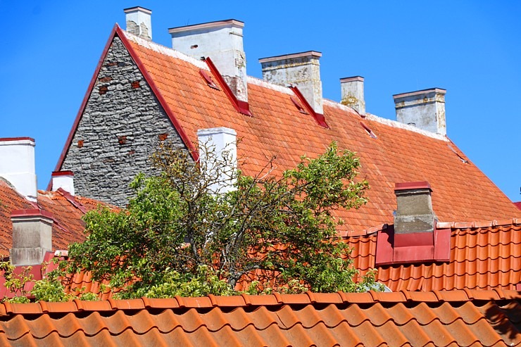 Tallinas reljefs piedāvā tūristiem burvīgas panorāmas skatus 302831