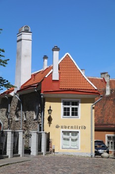 19