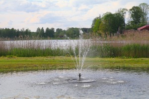 36