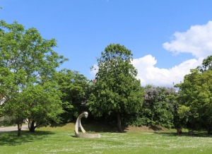 41
