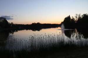 40