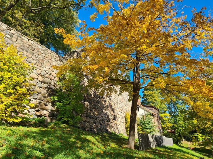 Valmieru izgreznojusi košā rudens vīra ota. Foto: Valmiera.lv 308057