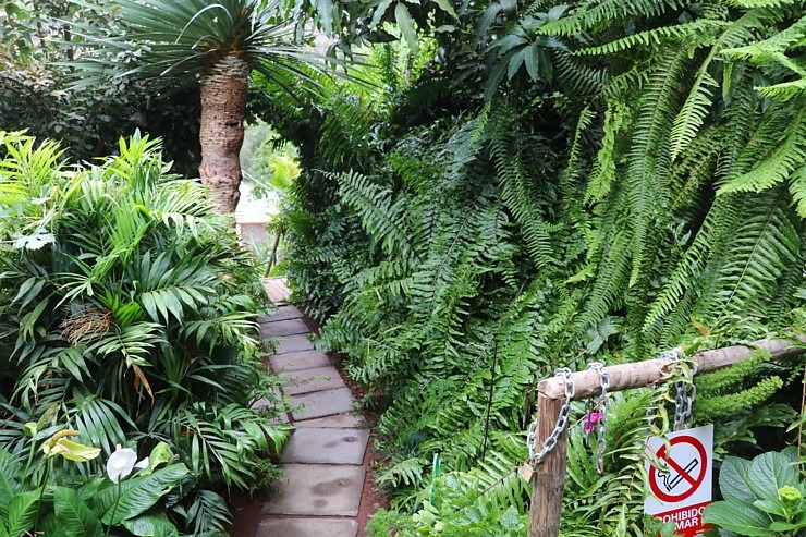 Travelnews.lv degustē un izbauda Tenerifes vīnus «Museo de Malvasia» 309065