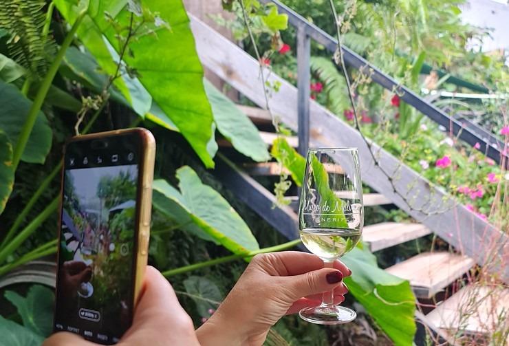 Travelnews.lv degustē un izbauda Tenerifes vīnus «Museo de Malvasia» 309079