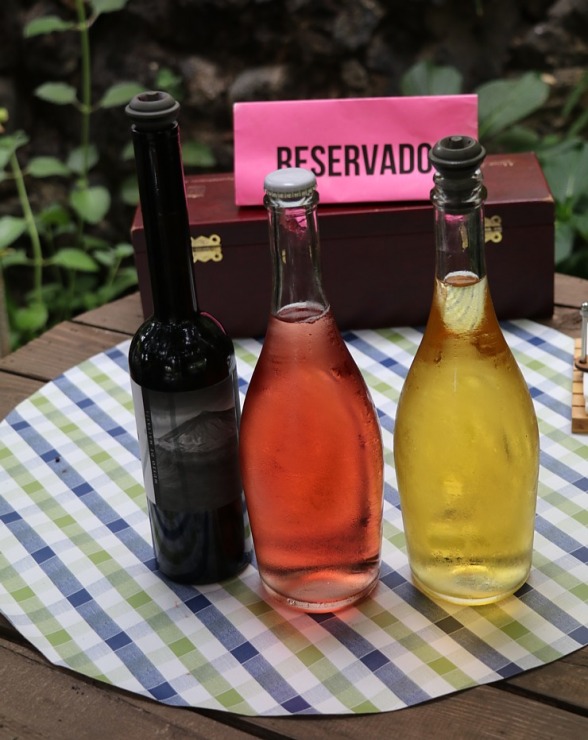 Travelnews.lv degustē un izbauda Tenerifes vīnus «Museo de Malvasia» 309054