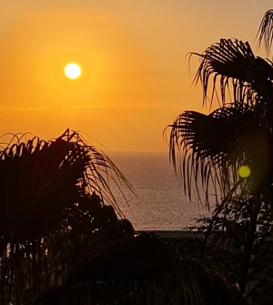Travelnews.lv iepazīst romatisku Tenerifes viesnīcu «Hotel Vincci Selección La Plantación del Sur» 30