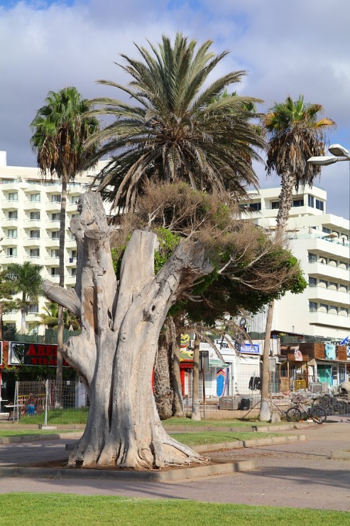 Travelnews.lv iepazīst Tenerifes kūrorta Adeje pludmali un promenādi 309544