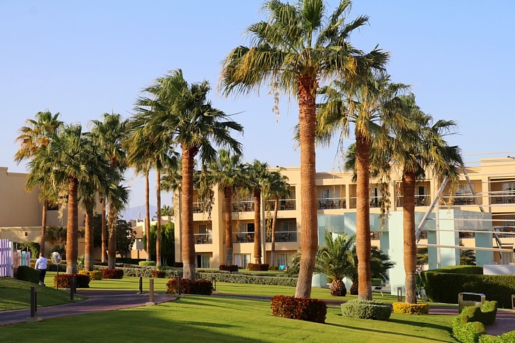 Iepazīsti Šarm el Šeihas «Rixos» abu viesnīcu zaļo teritoriju 310303