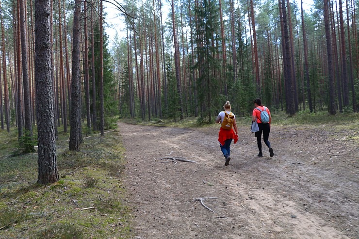 Travelnews.lv dodas 24 km pārgājienā Raiskuma apkārtnē Cēsu novadā 316456