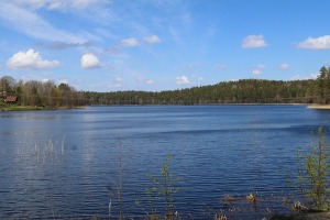 Travelnews.lv dodas 24 km pārgājienā Raiskuma apkārtnē Cēsu novadā 30